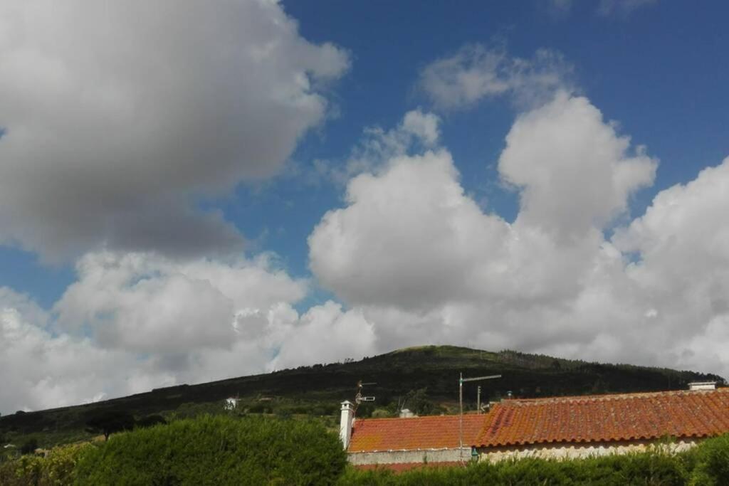 Villa - Torres Vedras, Lisbon Country SideAlmeirinhos de Baixo エクステリア 写真